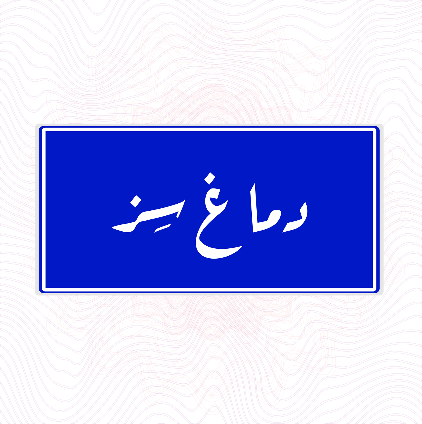 دماغ سز