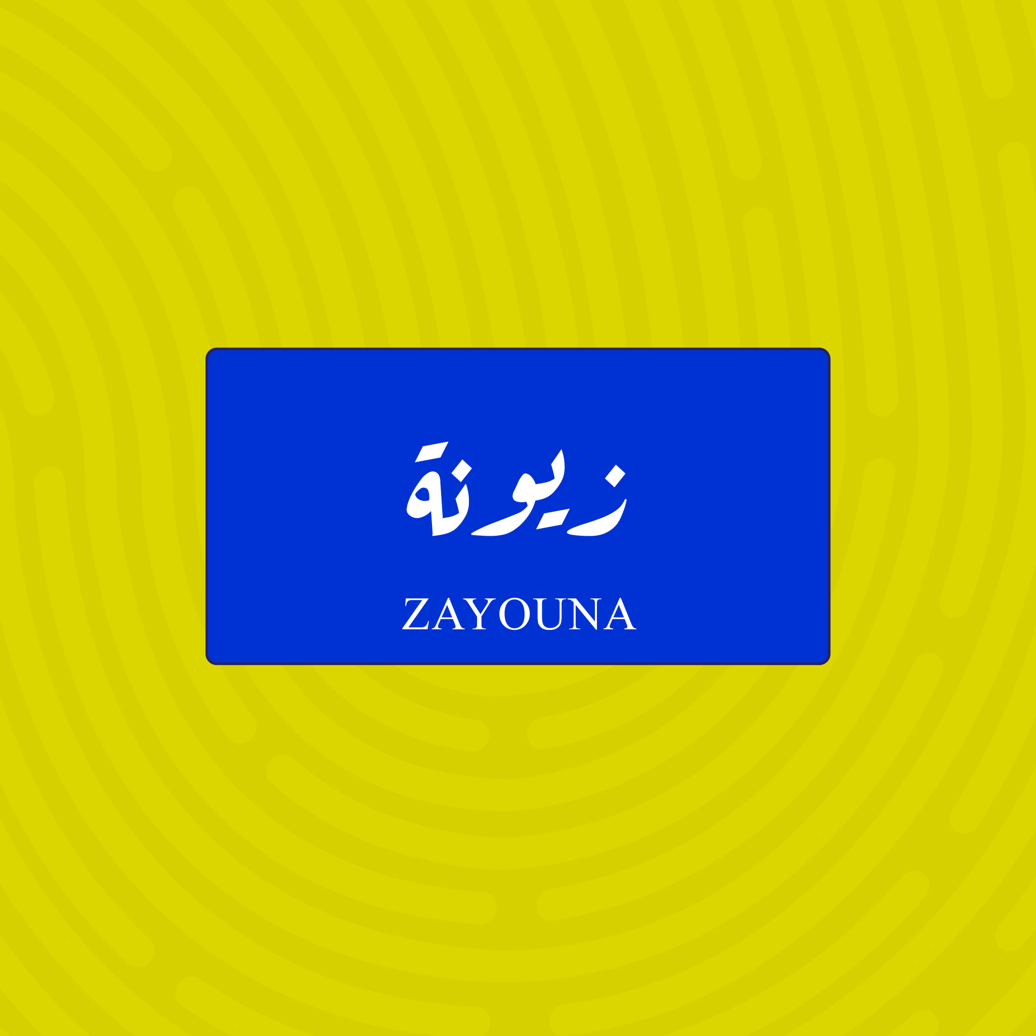 لوحة خشبية باسم زيونة - تصميم عراقي أزرق وأبيض