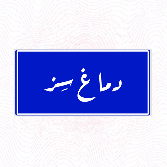 دماغ سز